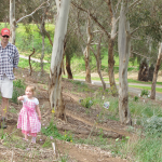 Wildflower Walk