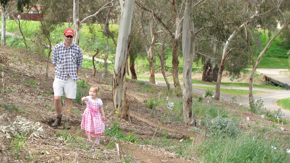 Wildflower Walk